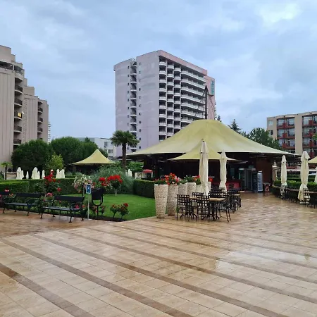 Visit Sunny Sarka Daire *